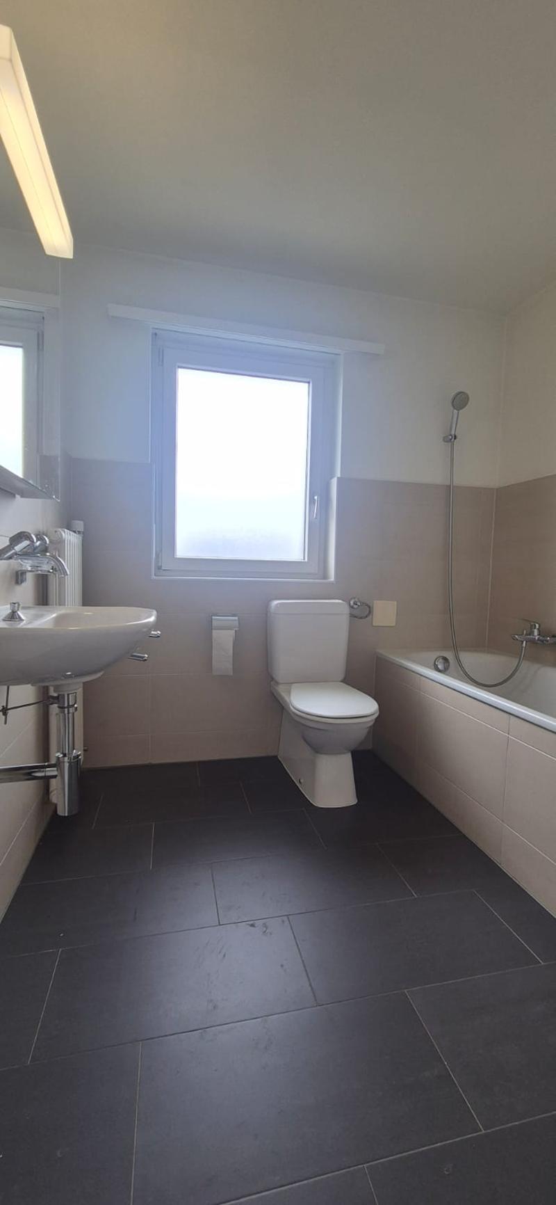Charmant appartement de 3,5 pièces avec terrasse (7)