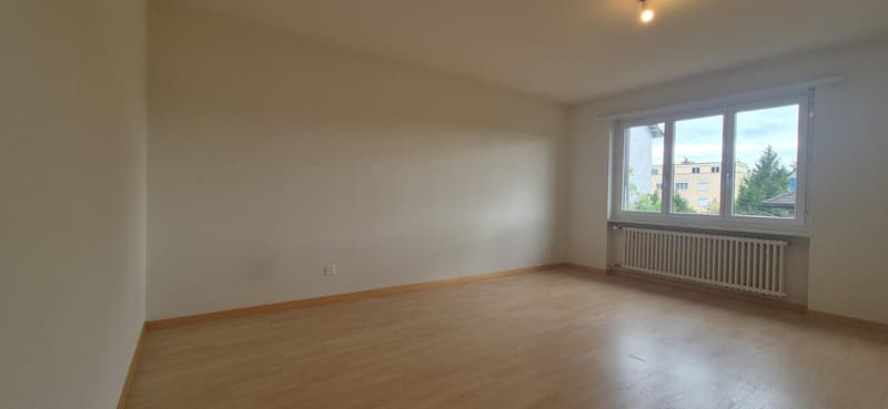 Charmant appartement de 3,5 pièces avec terrasse (4)