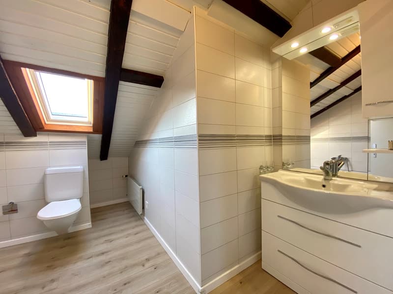 TOP Helle, ruhige Duplex-Dachwohnung 3..5 Zimmer mit Balkon (8)