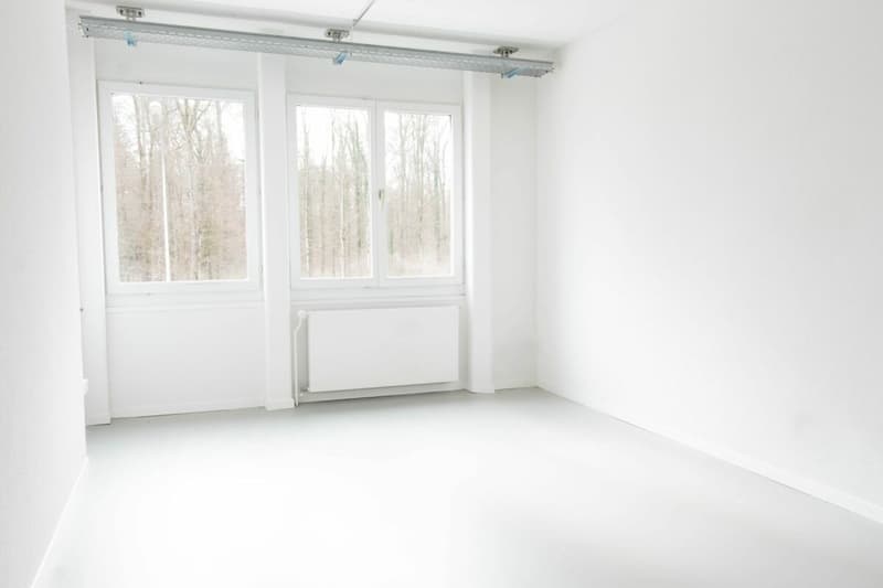 Dienstleistungsflächen Working-Loft (3)