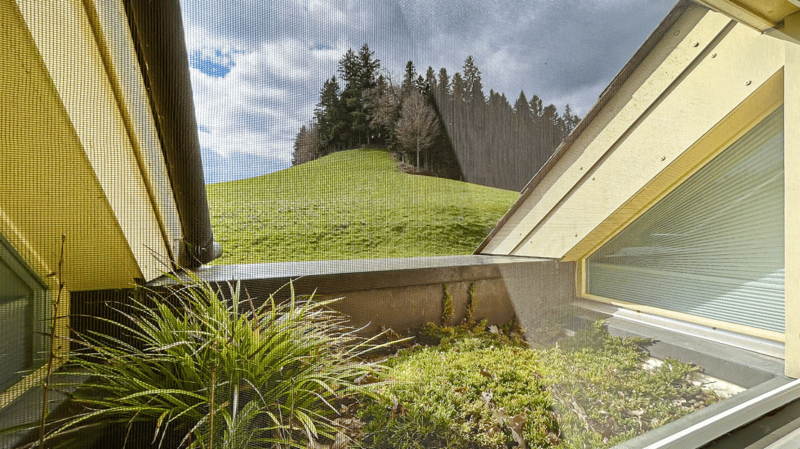 Living with a view - a gem in an elevated location with space and quality (18)
