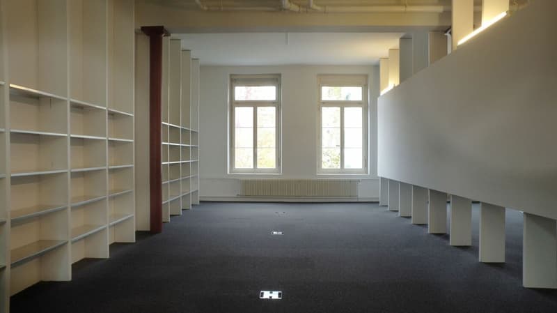 Büro- und Gewerbeflächen, Alpina Areal (10)
