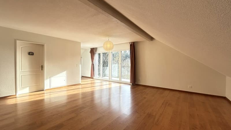 Leben mit Privatsphäre - charmante Dachwohnung in Gerlafingen (6)