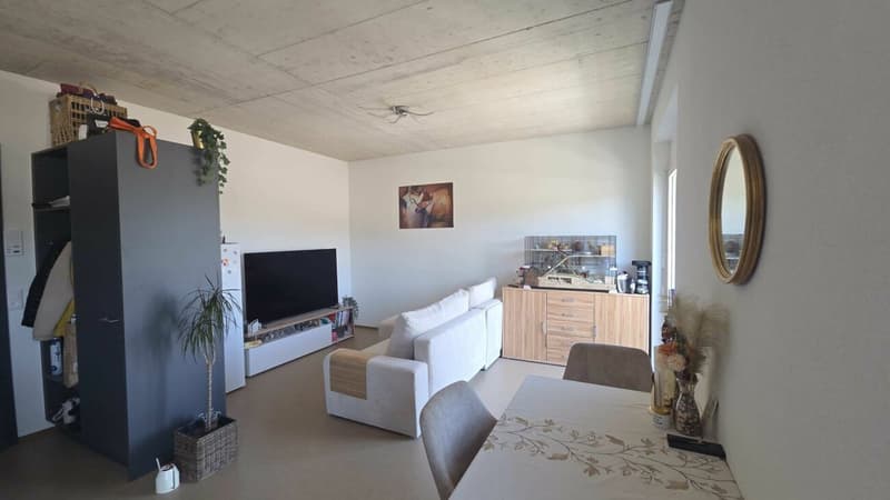 1.5 Zimmer Wohnung (3)