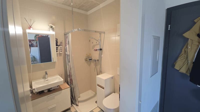 1.5 Zimmer Wohnung (6)