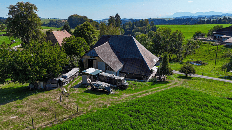 Ehemaliges Bauernhaus - ländliches Wohnen mit Charakter (3)