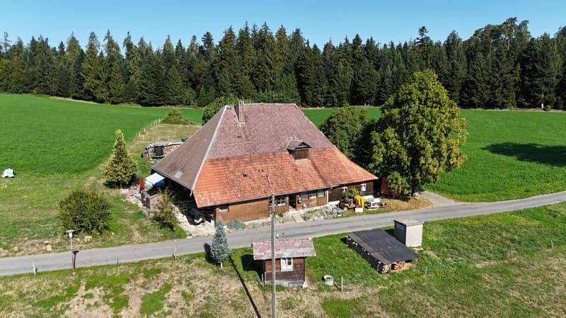Ehemaliges Bauernhaus - ländliches Wohnen mit Charakter (1)