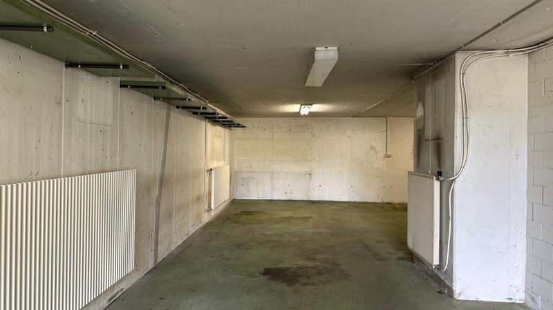 Eckhaus mit Potenzial & XXL-Garage – ideal für Handwerker und Sammler (52)