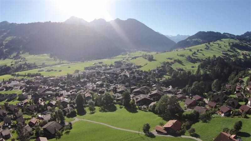 aerial view of a village with houses, green fields, mountains, trees