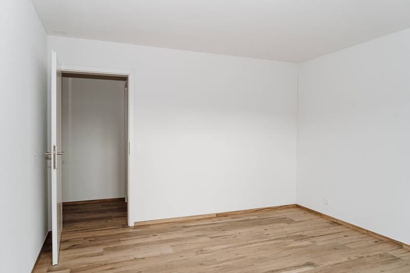 Moderne 4.5-Zimmer-Wohnung mit Landschaftsblick in Grossdietwil (3)