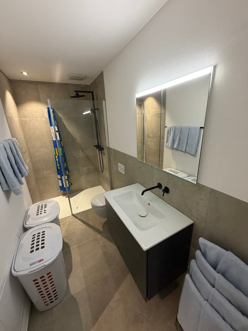 Grosse 3.5 Zimmerwohnung 92.5m2, 2 Nasszellen und 36 m2 Terrasse (9)