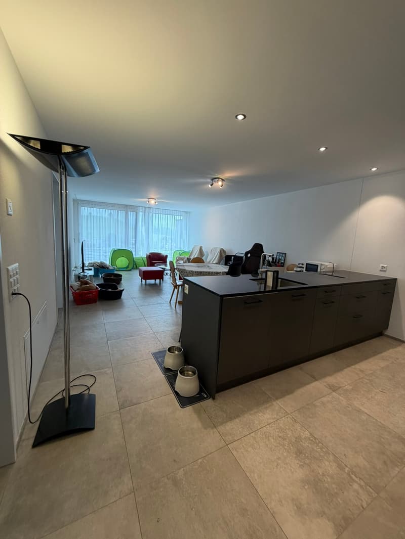 Grosse 3.5 Zimmerwohnung 92.5m2, 2 Nasszellen und 36 m2 Terrasse (4)