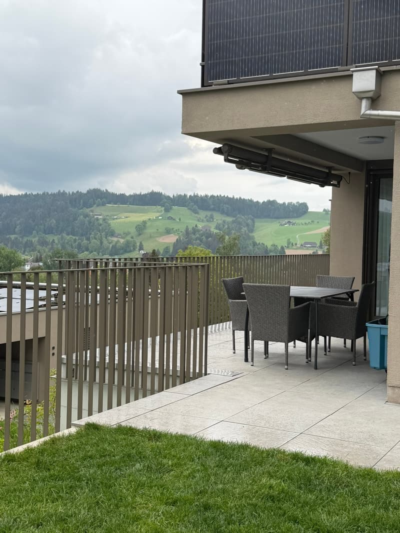 Grosse 3.5 Zimmerwohnung 92.5m2, 2 Nasszellen und 36 m2 Terrasse (2)
