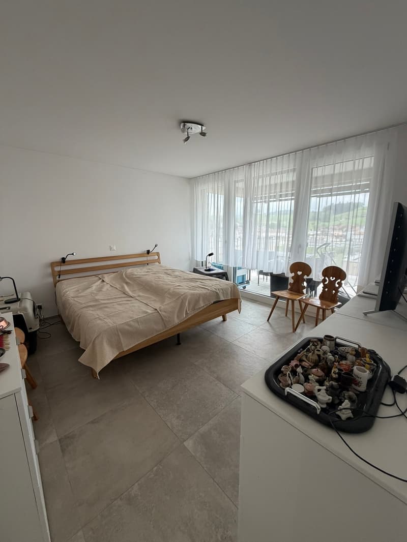 Grosse 3.5 Zimmerwohnung 92.5m2, 2 Nasszellen und 36 m2 Terrasse (6)