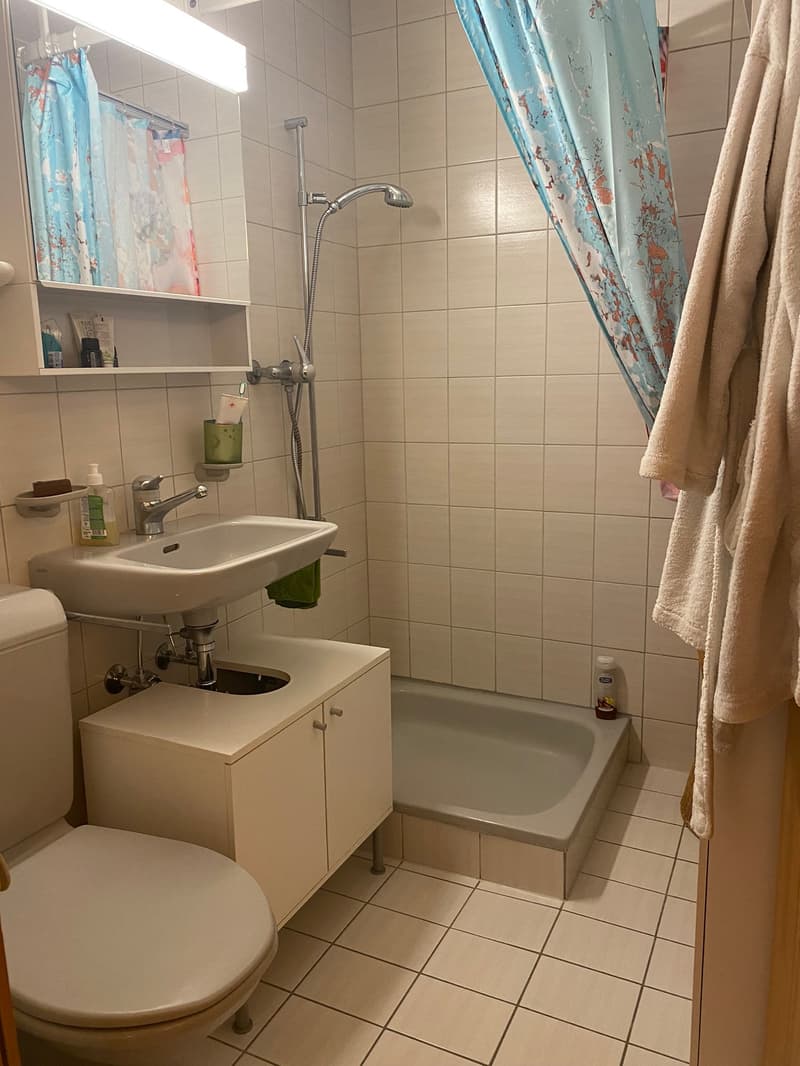 Charmante 1.5-Zimmer-Maisonettewohnung in Brienz (7)