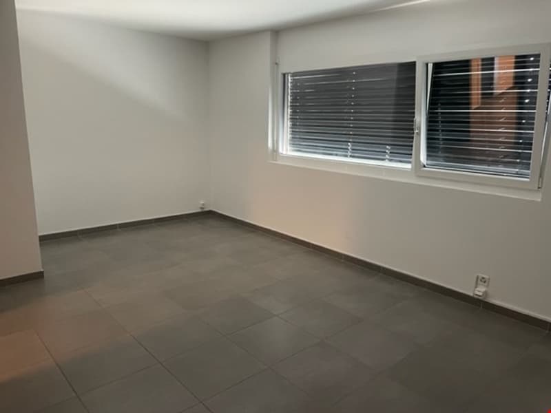 Commerce, Bureaux, Atelier et Industrie (9)
