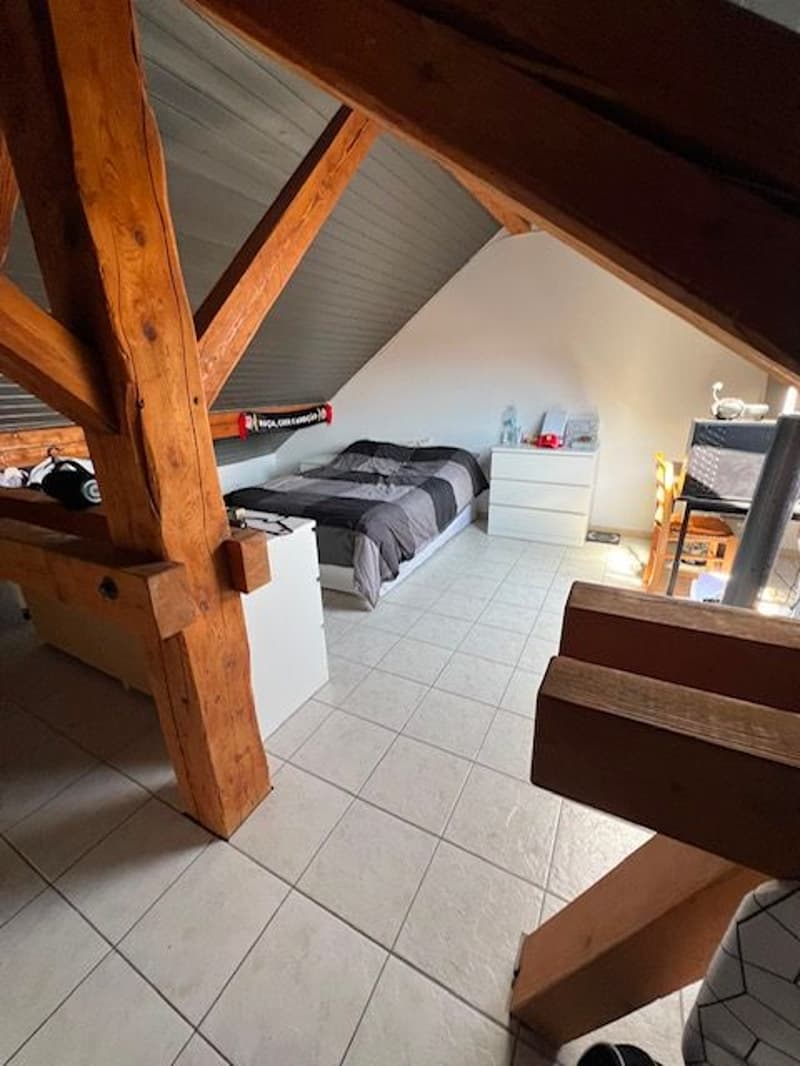 Charmant Loft meublé de 1.5 pièces dans les Combles à Etoy (6)