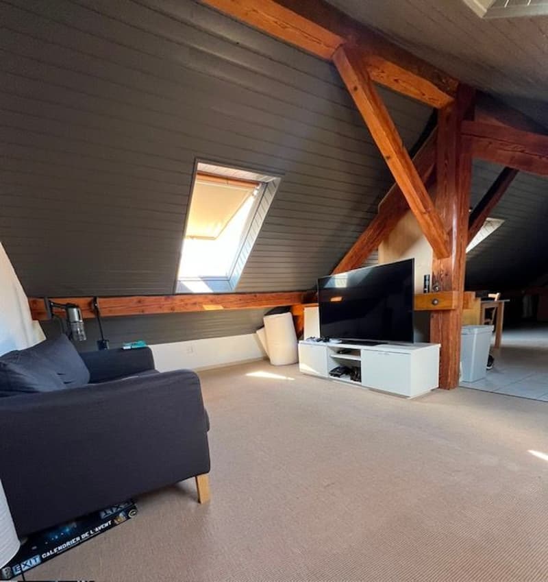 Charmant Loft meublé de 1.5 pièces dans les Combles à Etoy (1)