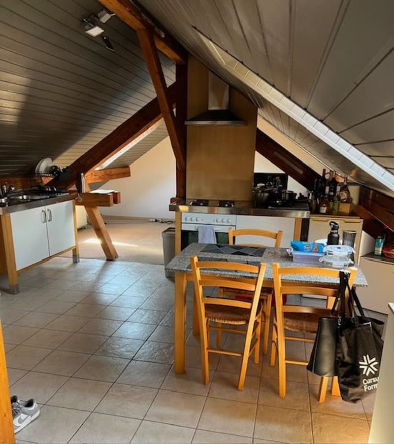 Charmant Loft meublé de 1.5 pièces dans les Combles à Etoy (5)