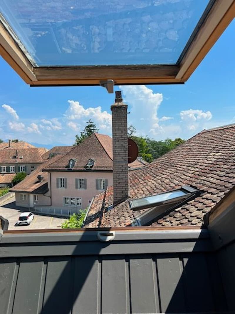 Charmant Loft meublé de 1.5 pièces dans les Combles à Etoy (7)