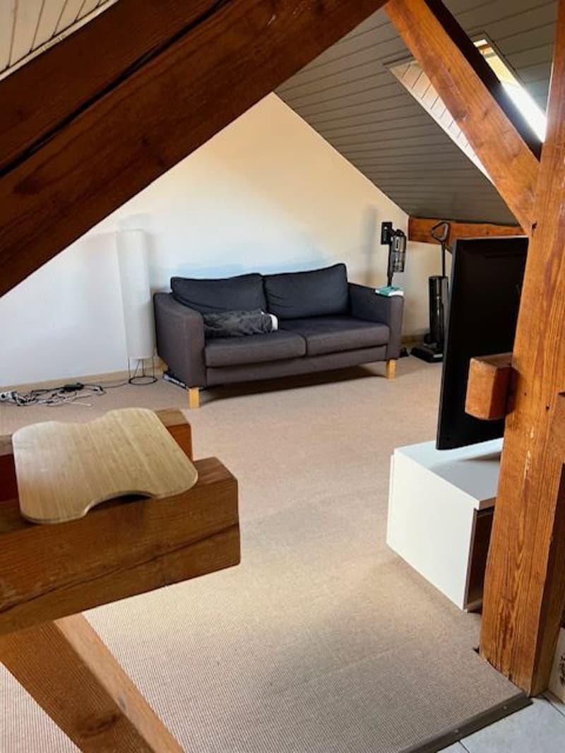 Charmant Loft meublé de 1.5 pièces dans les Combles à Etoy (4)