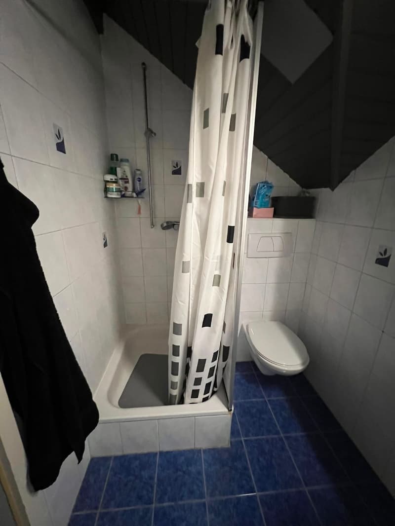 Charmant Loft meublé de 1.5 pièces dans les Combles à Etoy (8)