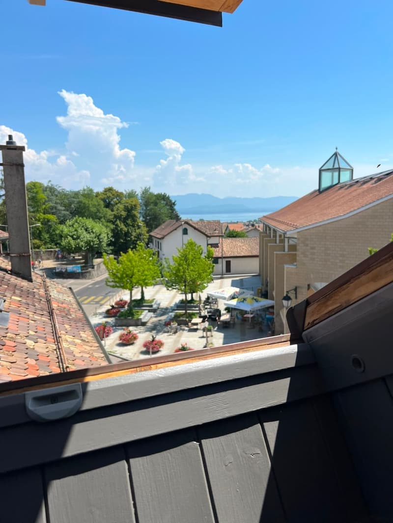Charmant Loft meublé de 1.5 pièces dans les Combles à Etoy (2)