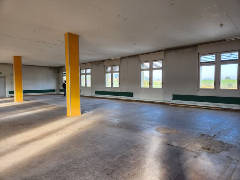Open space with high ceiling, concrete floor, yellow columns, green strips on the walls, large windows with views to outside.