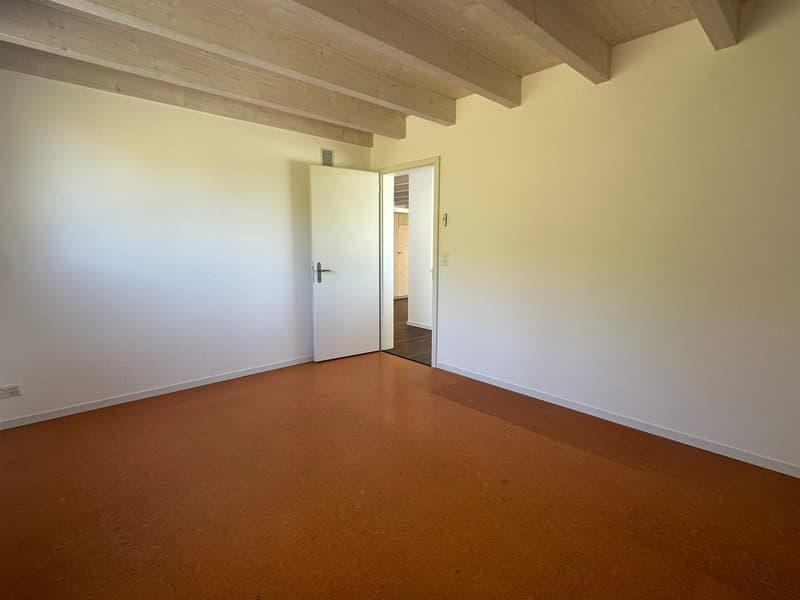 empty room, white walls, wooden ceiling, brown floor, open door