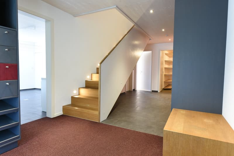Staircase, hallway, open living area, wooden stairs, carpeted floor