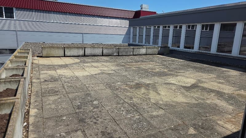 Grosszügige 4.5-Zimmer-Wohnung mit grosser Terrasse – ideal für Paare oder WG (8)