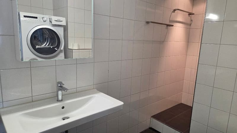 Grosszügige 4.5-Zimmer-Wohnung mit grosser Terrasse – ideal für Paare oder WG (4)