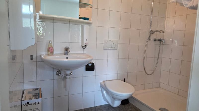 Repräsentative Büro- und Ausstellungsfläche (7)