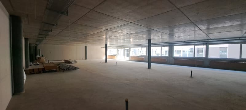 Local commercial, bureau et entrepôt / Gewerberaum, Büro und Lager (5)