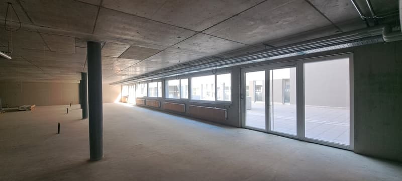 Local commercial, bureau et entrepôt / Gewerberaum, Büro und Lager (4)