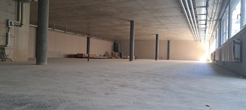 Local commercial, bureau et entrepôt / Gewerberaum, Büro und Lager (8)