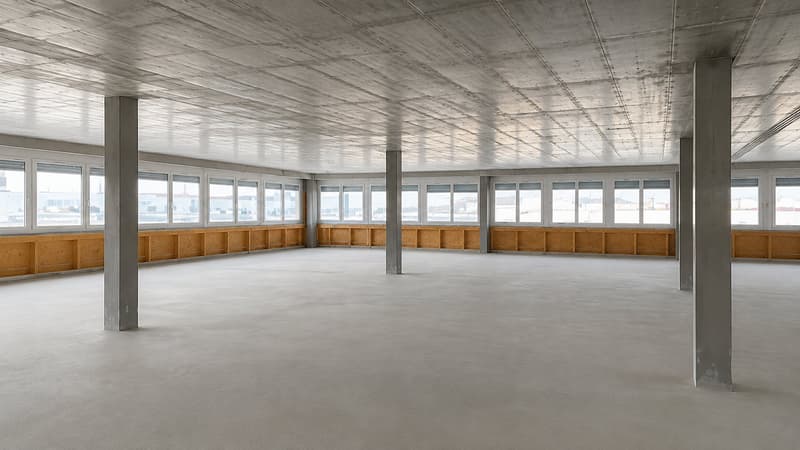 Büroräumlichkeiten zu vermieten (1)