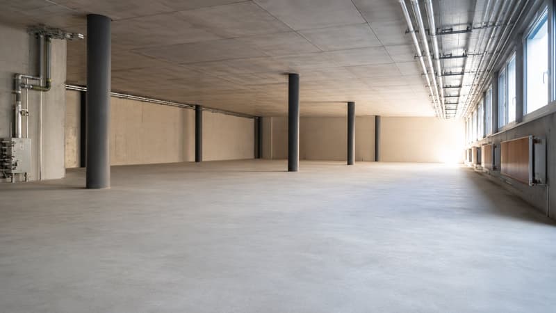 Local commercial, bureau et entrepôt / Gewerberaum, Büro und Lager (3)