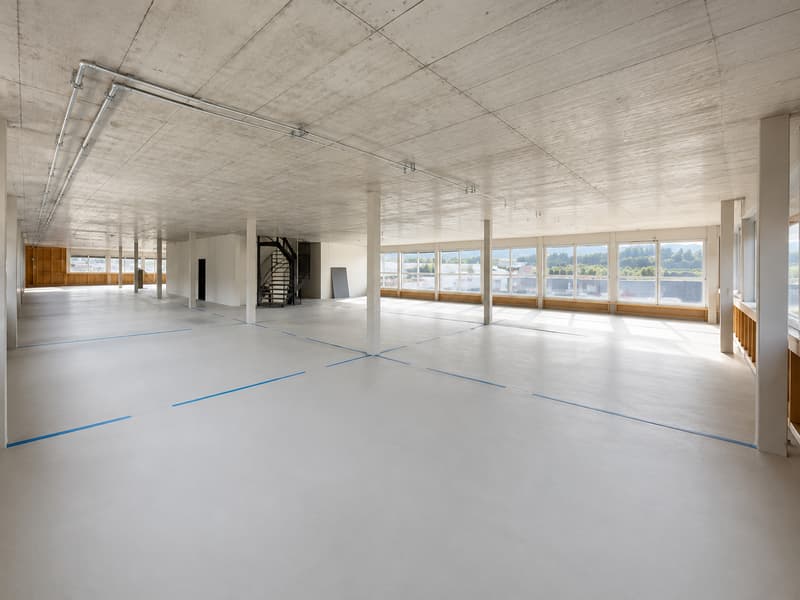 Flexible Gewerbeäumlichkeiten / Locaux commerciaux modulables (1)