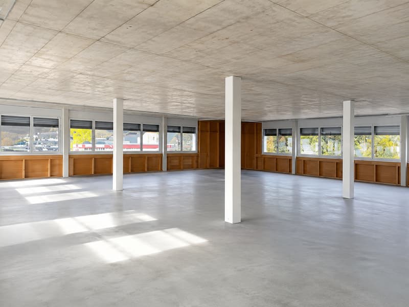 Flexible Gewerbeäumlichkeiten / Locaux commerciaux modulables (3)