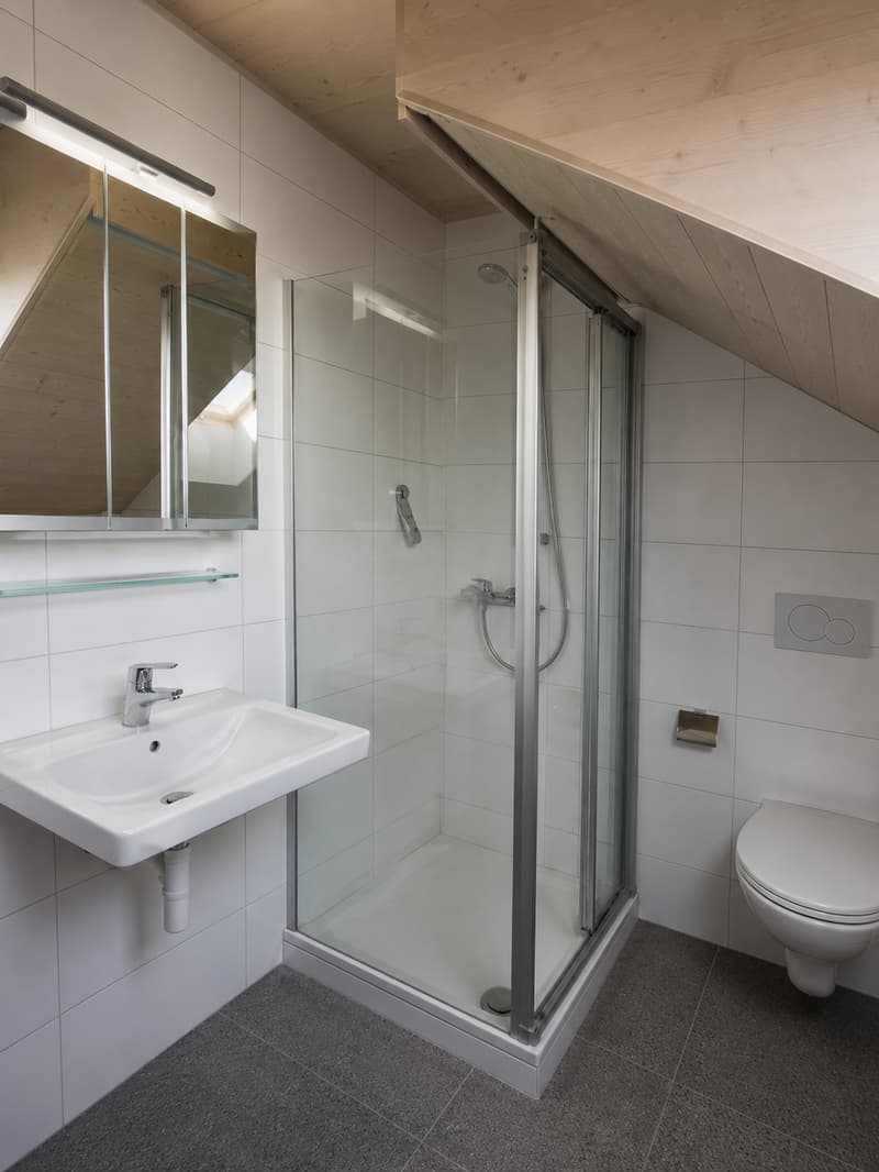 3.5 Zimmer-Dachwohnung mit Galerie und grosser Terrasse (5)