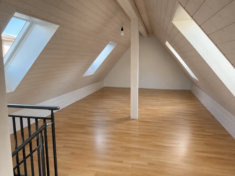 3.5 Zimmer-Dachwohnung mit Galerie und grosser Terrasse (3)