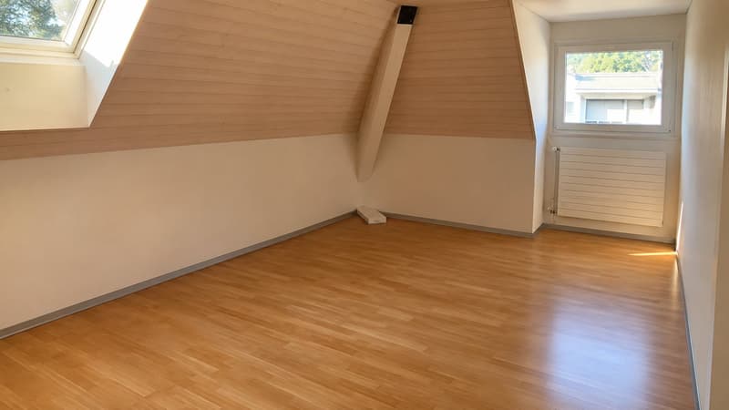 3.5 Zimmer-Dachwohnung mit Galerie und grosser Terrasse (2)