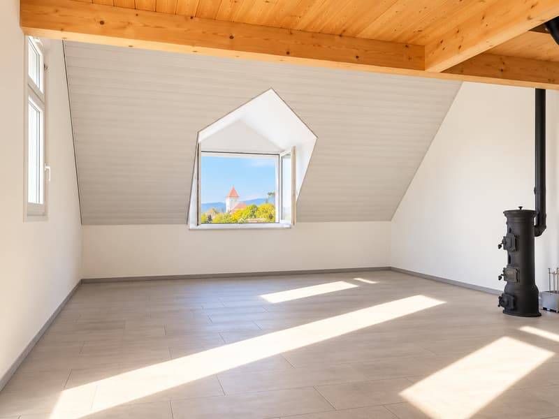 Charmante Duplex-Wohnung mit Dachterrasse in Nidau (3)