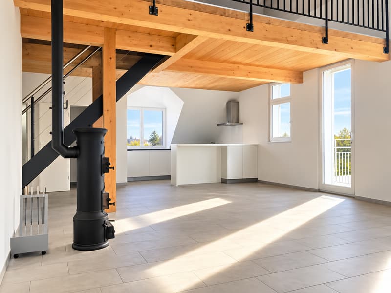 Charmante Duplex-Wohnung mit Dachterrasse in Nidau (2)