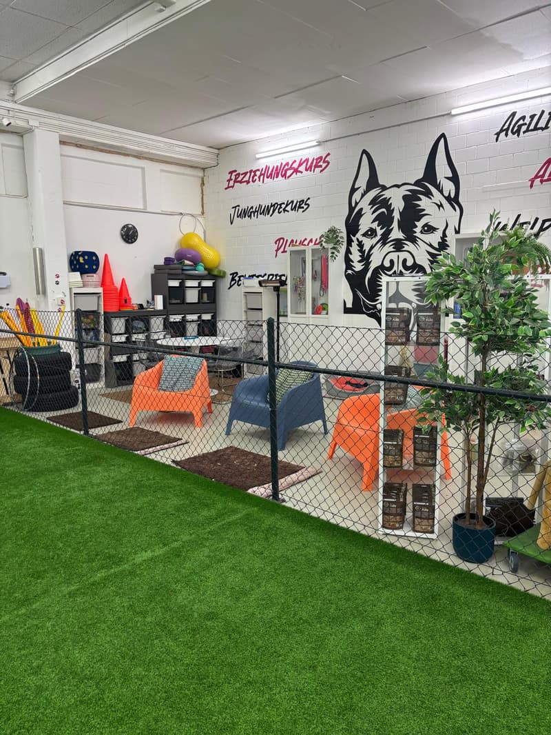 artificial grass, fences, storage boxes, dog toys, chairs, decorative tree, shelves, dog toys on shelves
