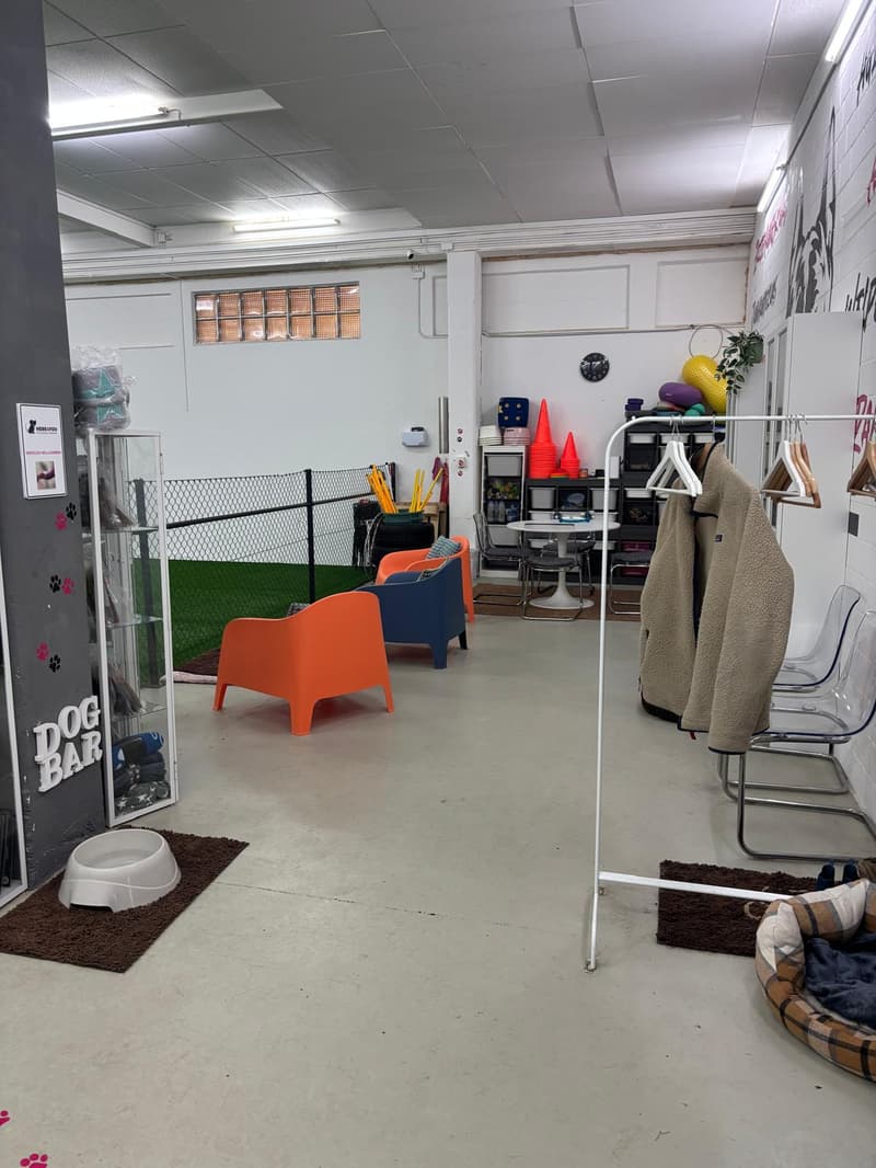 industrial room, empty, chairs, dog bowls, coats on hangers, desk, plants, shelves