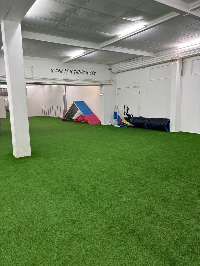An indoor room with artificial green turf, training equipment, and motivational message on the wall.
