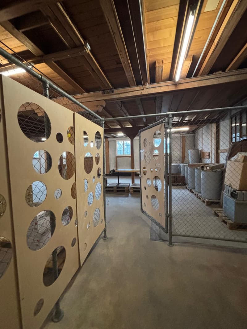 Concrete floor, wooden ceiling, metal chain link fence, circular cutouts in panels