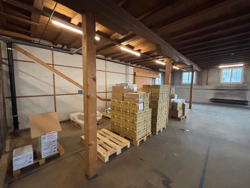 Basement room with storage boxes, wooden pallets, a couch, windows, metal beams, and lights.